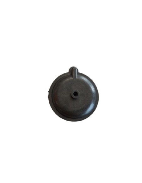 Tapa membrana calentador Cointra 5lts
