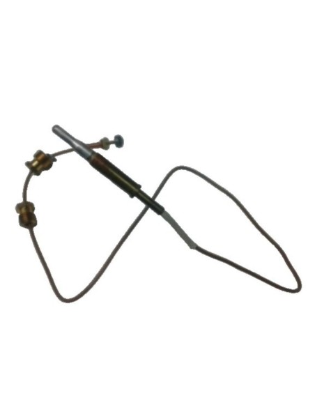 Termopar neckar wd10