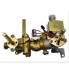 Cuerpo agua gas EB10 GN  (ver 55398190)