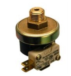 Presostato seguridad agua 1/4M c/ micro 2-6 bar