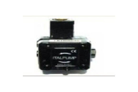Bomba de gasoil Italpump c/ev. p1oe35 horario