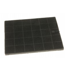 Filtro carbon Pando 287x237mm