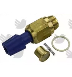 Llave llenado caldera Saunier thelia original 2