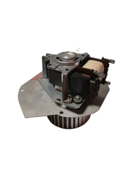 Extractor de humos Hergom m20 ff