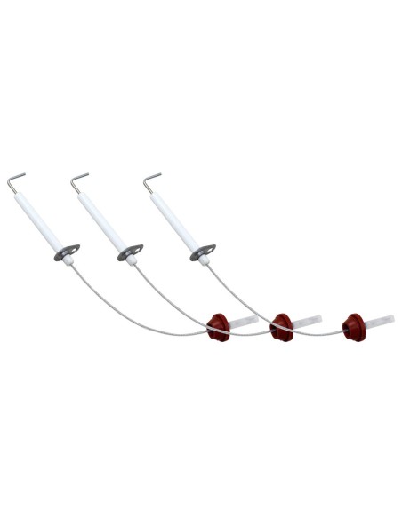 Kit sonda ionizacion + electrodos victoriaf Neobit