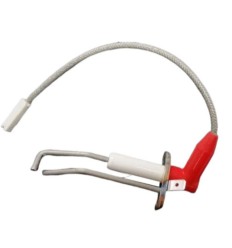 Electrodos Remeha Avanta Fagor FC2424
