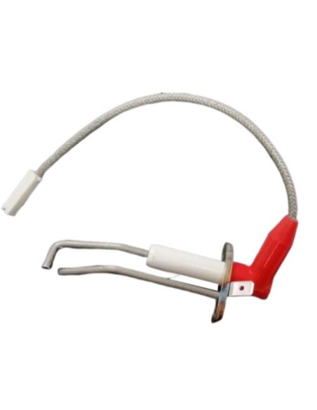 Electrodos Remeha Avanta Fagor FC2424