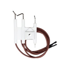 Electrodos Vaillant VMW