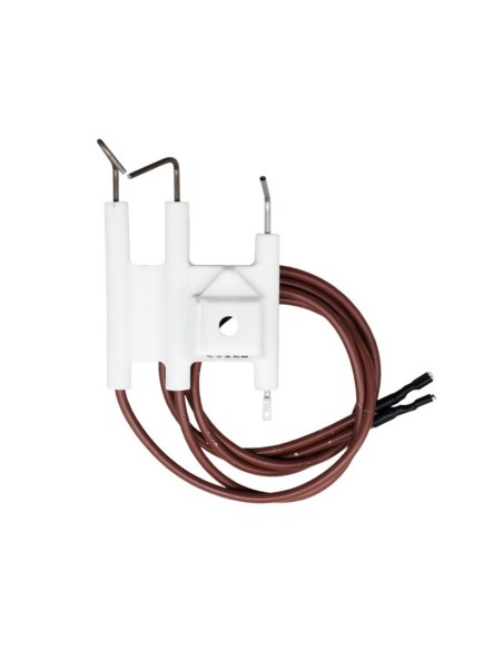 Electrodos Vaillant VMW