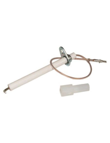 Sonda de ionizacion Manaut Biasi M97