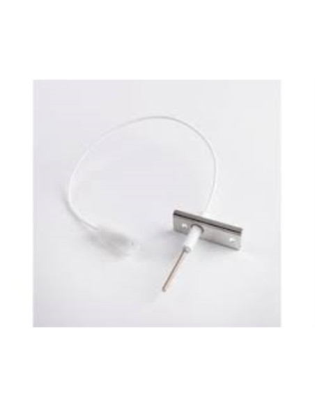 Electrodo ionizacion Manaut myto condens