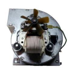 Extractor de humos Wolf ggEK24