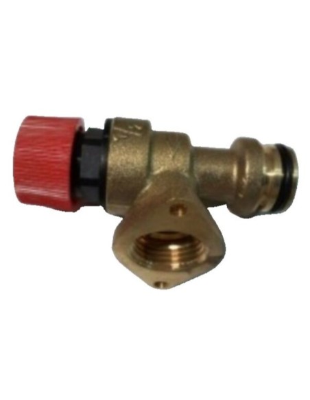 Valvula de seguridad Immergas victrix