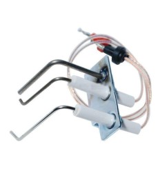 Conjuntos electrodos Vaillant MAG 19/24 VR01