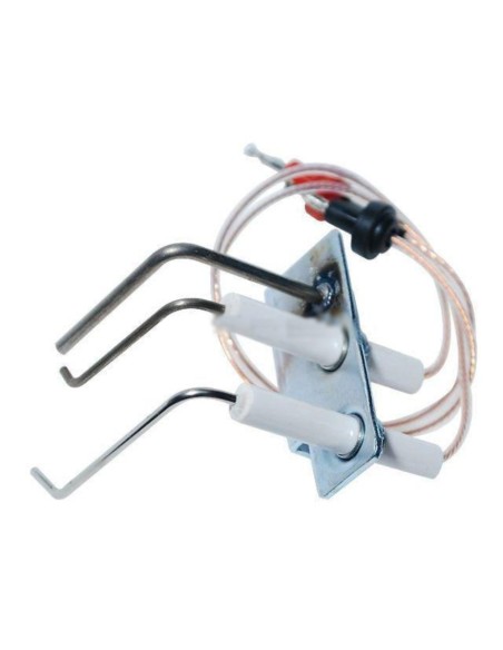 Conjuntos electrodos Vaillant MAG 19/24 VR01