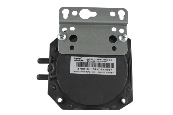 Presostato diferencial Wolf GG2EK24 60-45Pa