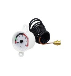 Manometro caldera Immergas Victrix 26