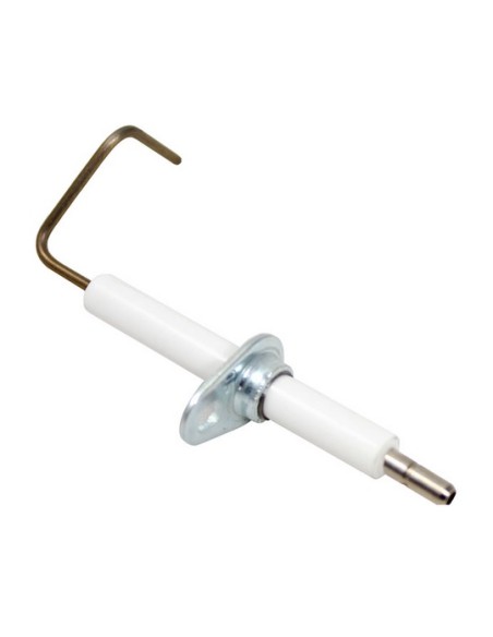 Sonda ionizacion Radiant rmas30