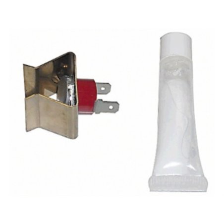Sonda temperatura Saunier gancho * ORIGINAL