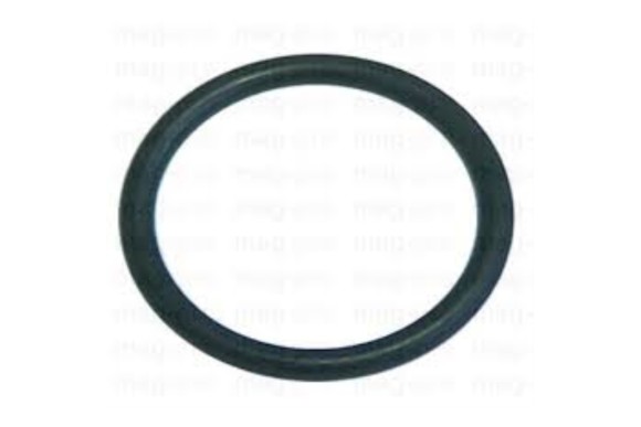 Junta resistencia Elettrobar 5.34 mm. int.d.47 mm.
