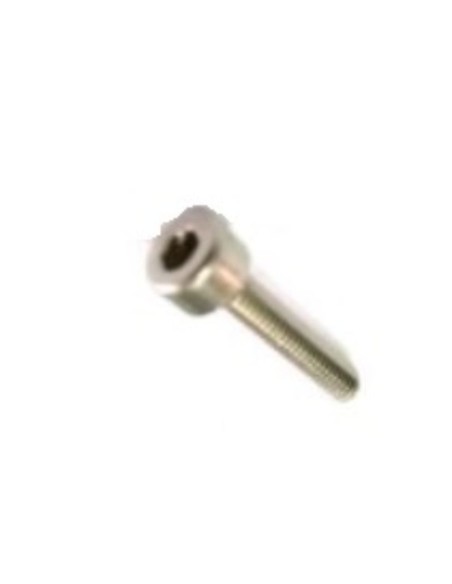 Tornillo M4x20 inox