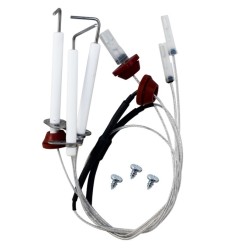 Conjunto electrodos Roca Laura f
