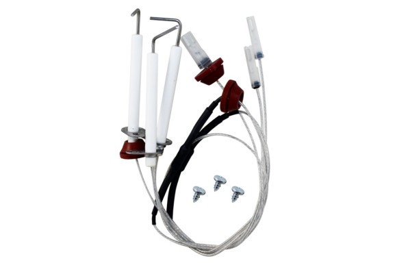 Conjunto electrodos Roca Laura f