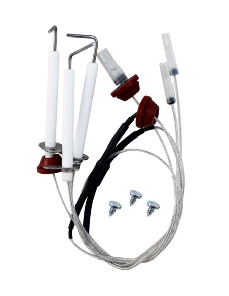 Conjunto electrodos Roca Laura f