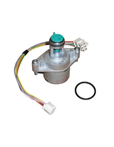 Motor paso a paso Saunier natural