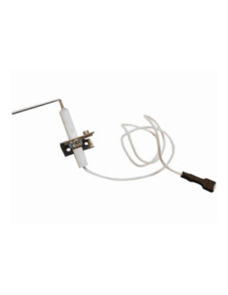 Sonda de ionizacion Saunier duval master thelia t