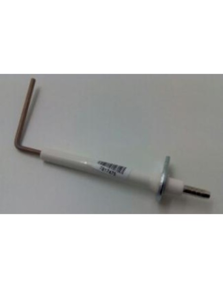 Electrodo ionizacion Viessmann vitopend 100