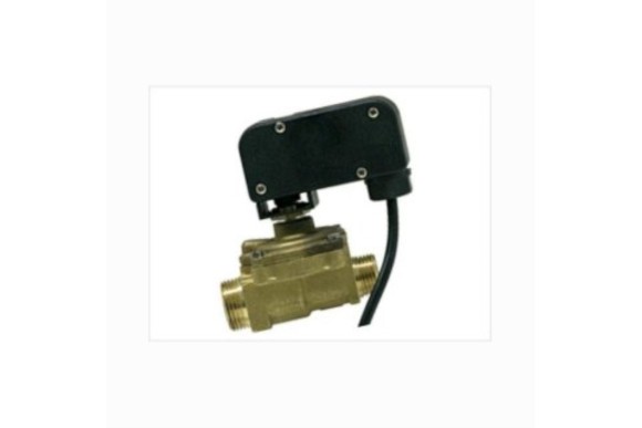 Flujostato Wolf gg-ek-24 tgb20