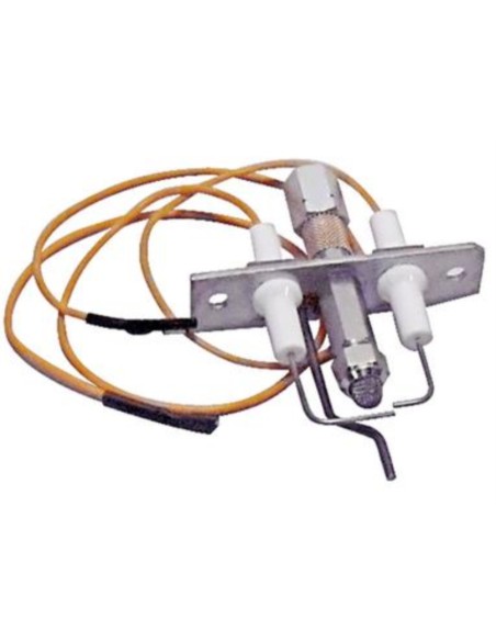 Electrodos Roca g100