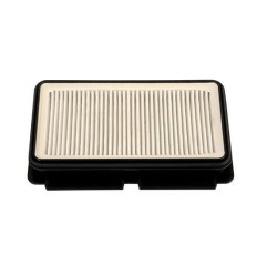Filtro HEPA Rowenta ZR902501