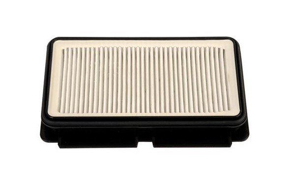 Filtro HEPA Rowenta ZR902501