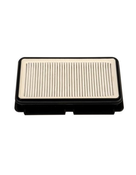 Filtro HEPA Rowenta ZR902501