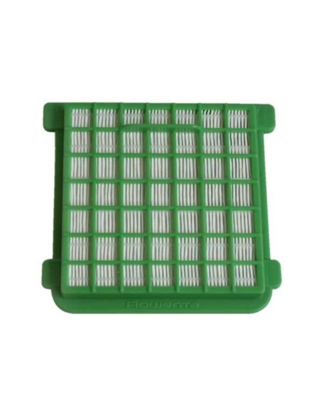 Filtro HEPA Rowenta RO1243