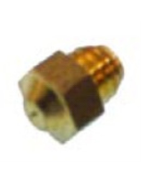 Inyector piloto Cointra 5 lts. GN