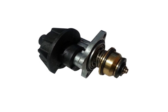 Tapa frontal calentador Cointra MT11 Vr01c/iman