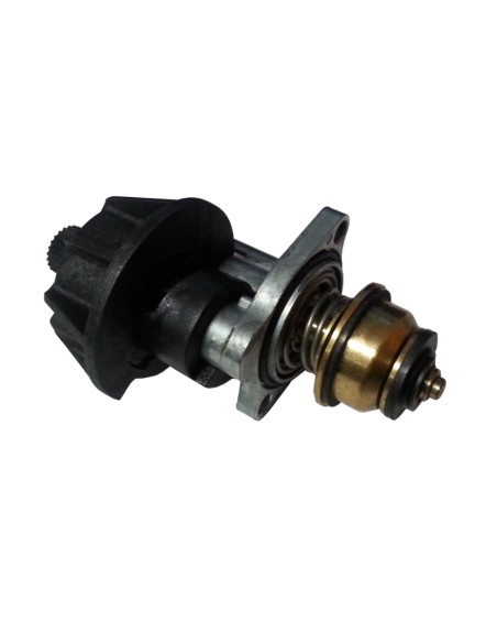 Tapa frontal calentador Cointra MT11 Vr01c/iman