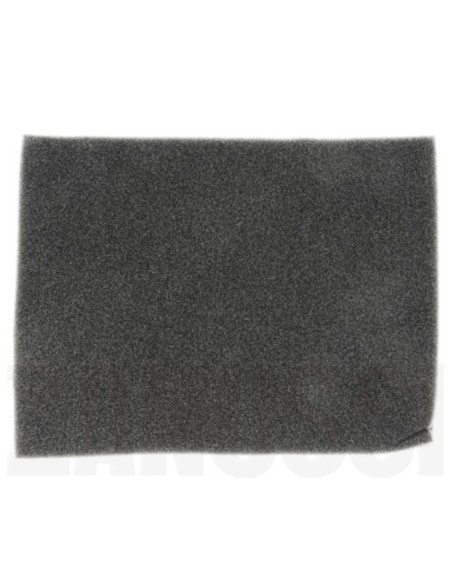 Filtro polvo AEG ACX6206