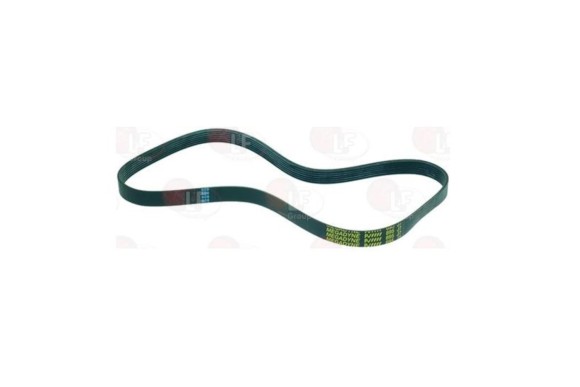 Correa pelapatatas Sammic PP6 PP12 891-J