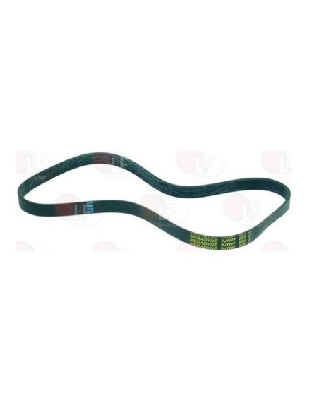 Correa pelapatatas Sammic PP6 PP12 891-J