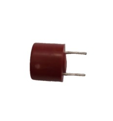 Fusible temporizado TR5 2A