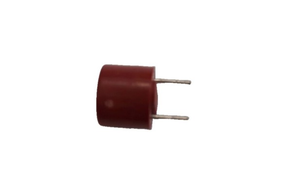 Fusible temporizado TR5 2A