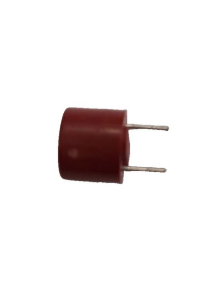 Fusible temporizado TR5 2A