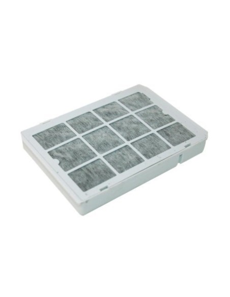 Filtro HEPA BSD3300