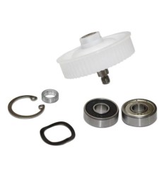 Kit polea y rodaminetos Thermomix TM21