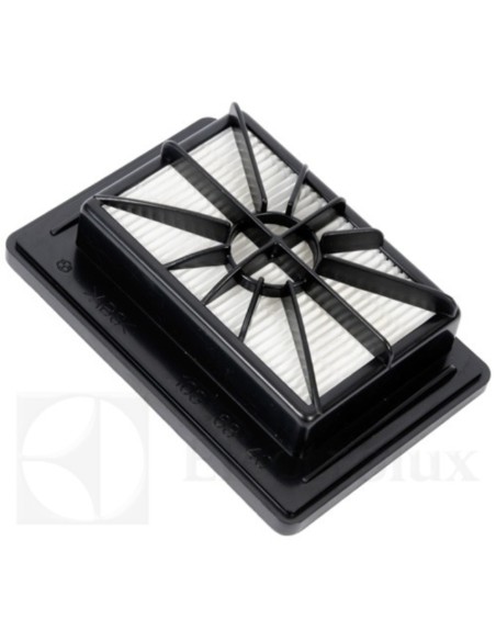 Filtro HEPA AEG CE692