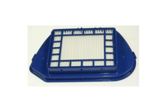 Filtro HEPA Rowenta RS-RT900097